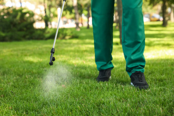 Wasp Removal Services in Curwensville, PA